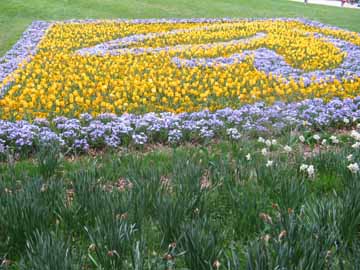 Arboretum spomladi