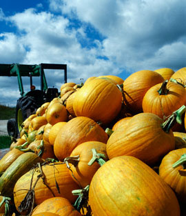 Halloween Noc carovnic