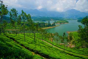 Kerala Munnar
