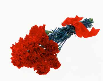 Rdeči nagelji, šopek