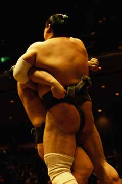 Sumo borci