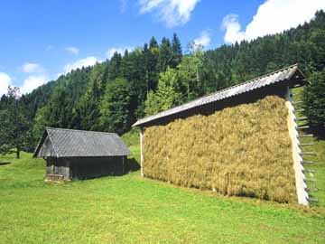 Triglavski narodni park