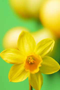 Velika noč, velikonočni motivi