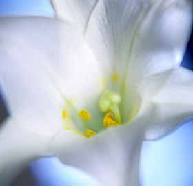 Velika noč, velikonočni motivi