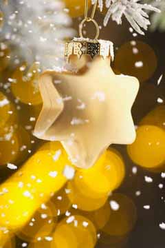 Zvezdica na božično novoletni jelki