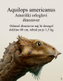 Paleontologi razkrili ime novega dinozavra: Akuilops amerikanus 